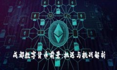 成都数字货币前景：机遇