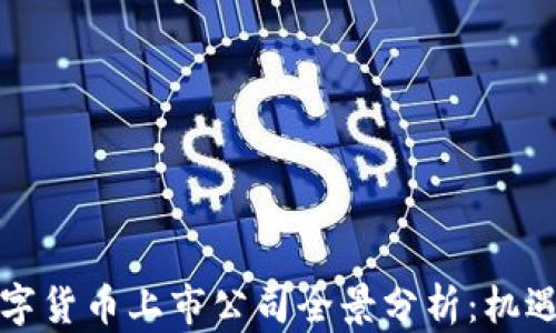 
深圳数字货币上市公司全景分析：机遇与挑战